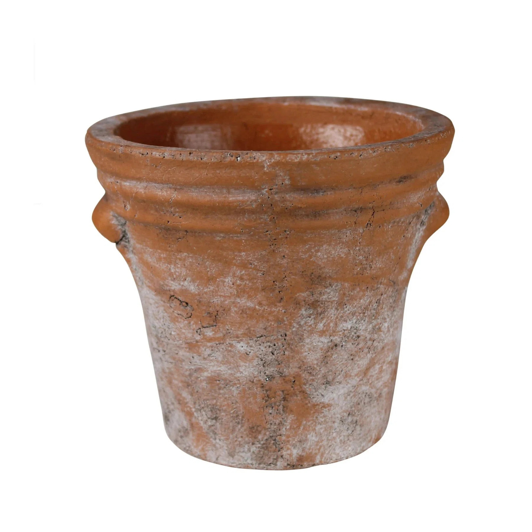 Rosalind Wheeler Ajahn terracotta Cachepot | Wayfair | Wayfair North America