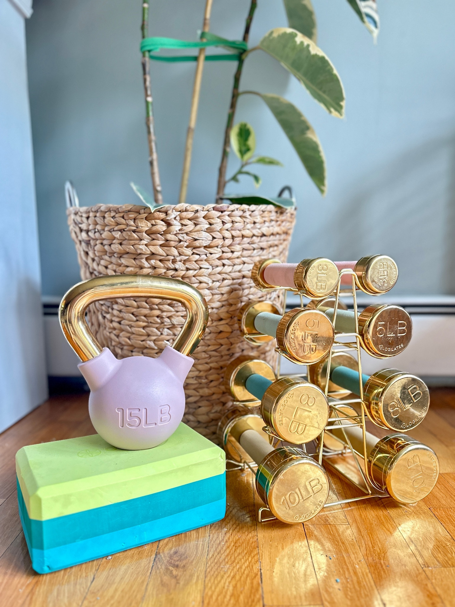 Added to my weight collection! I adore the pops of color on these weights for my workouts. They keep it fun and upbeat.

Fitness, weights, kettle ball, yoga block, weight stand

#LTKfitness #LTKActive #LTKfindsunder50