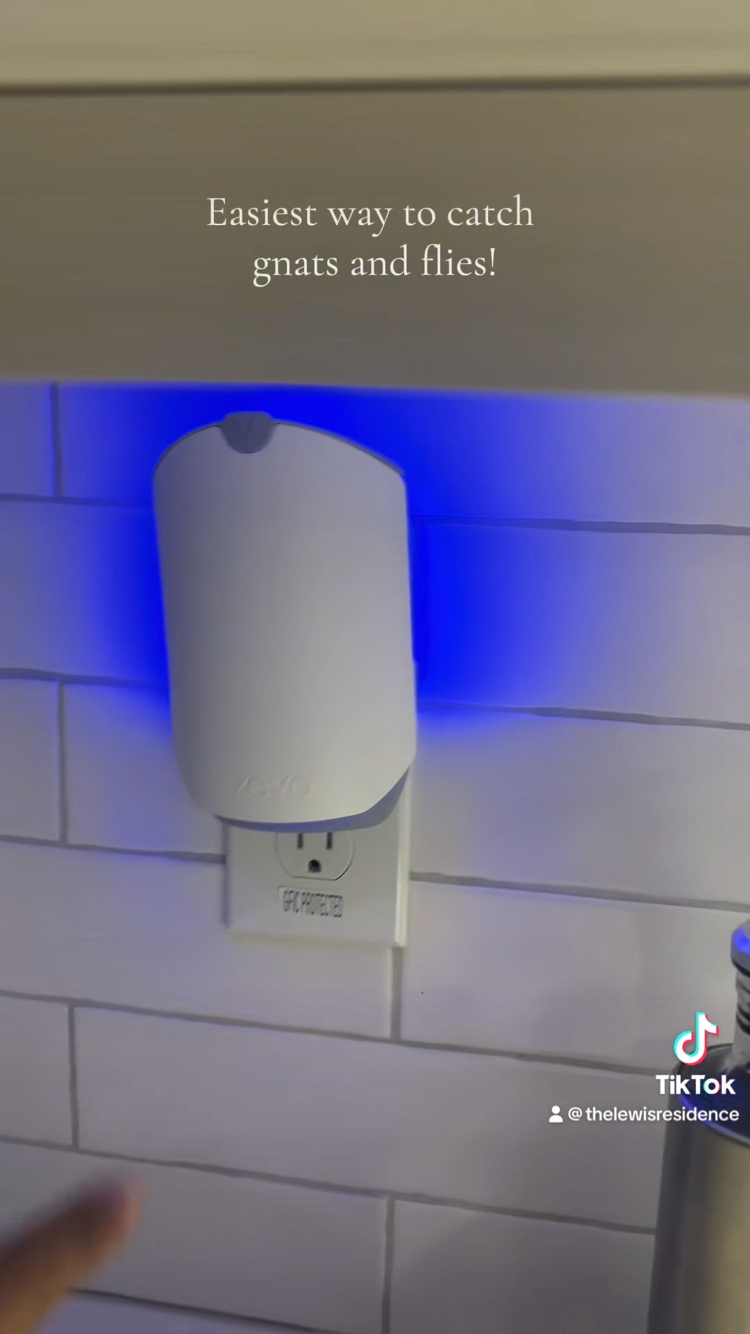 Easiest way to catch gnats and flies !

#LTKhome #LTKsalealert