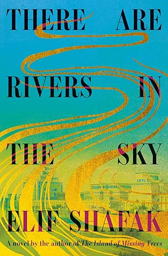 There Are Rivers in the Sky: A novel      Hardcover – Deckle Edge, August 20, 2024 | Amazon (US)