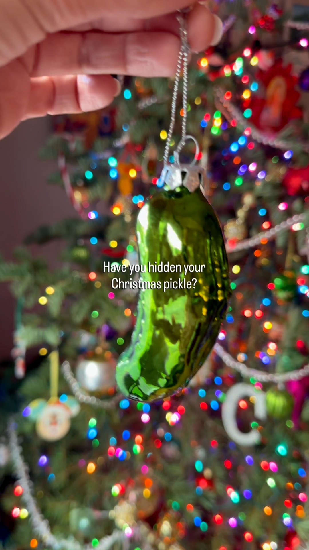 Do you have a Christmas pickle? We’ve always had a one on our tree. When the kids were younger, we’d take turns re-hiding the ornament in the branches and spend the whole season re-finding it.

Another fun twist is saving the big hide for Christmas morning and giving a little bonus gift to whoever spots it first.

A lot of people say this quirky tradition started in Germany (though no one can fully agree on that), but honestly, the mystery just makes it more charming. #christmaspickle #christmasdecorations #christmastreedecorating #nostalgicchristmas 

#LTKGiftGuide #LTKHoliday