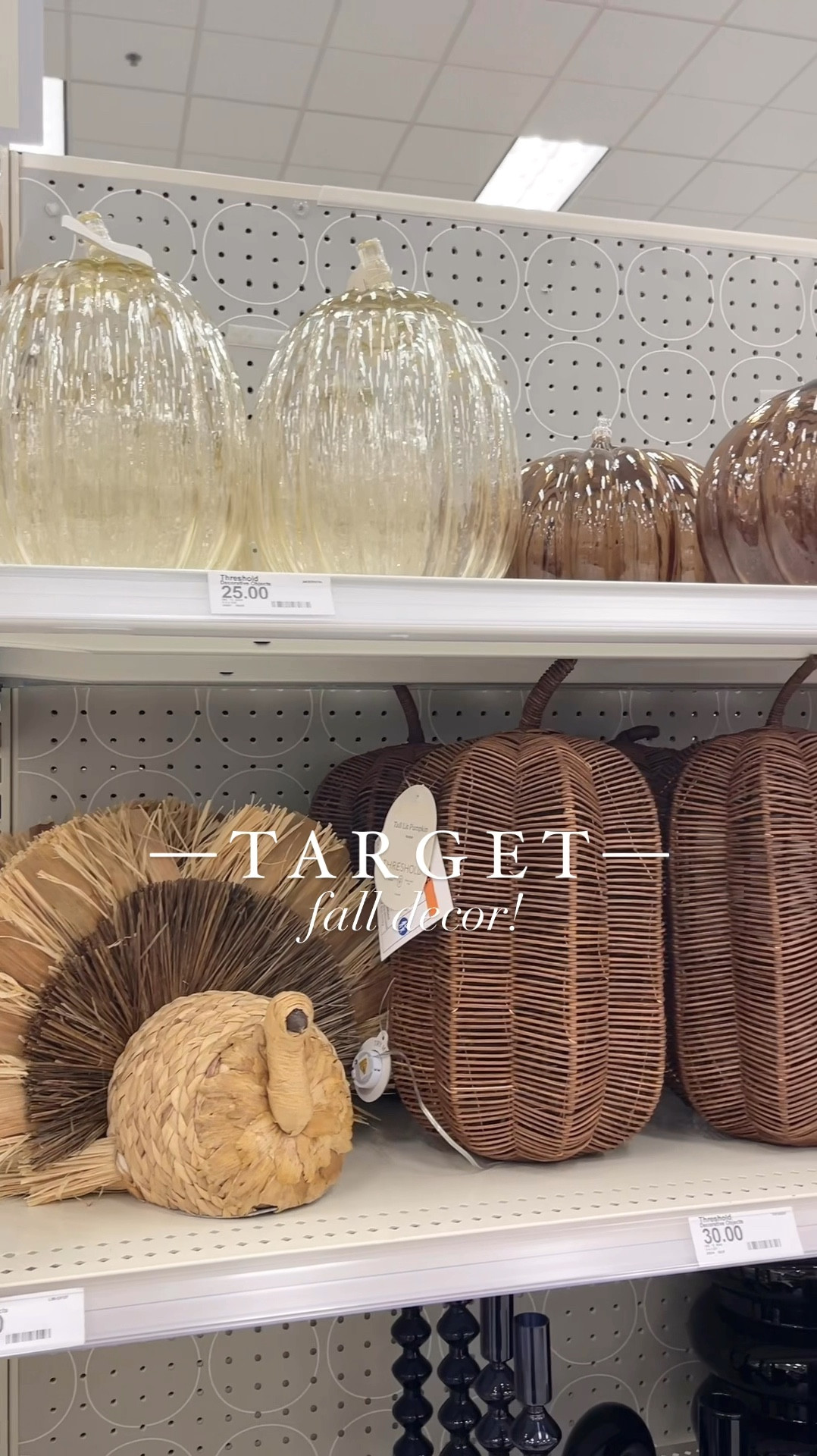 Target has some really cute Fall decor right now!! 🤍🍂 Loving these Pottery Barn look for less indoor woven/wicker lighted pumpkins!! And how cute is this block print pumpkin pillow?! 

Plus you can never have too many rattan pumpkins 🤣 Also loved this herringbone large basket with leather handles!! 😍 Even more linked 🤍

#LTKHome #LTKFallSale #LTKFindsUnder50