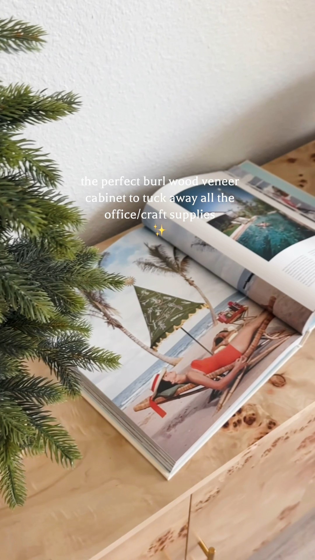 Link for the book ….cabinet is linked on my Instagram post … bowl with shells is Homegoods and shells are from the beach we have collected 🐚 Tree and lamp are old and no longer available 

#LTKHoliday #LTKFindsUnder50 #LTKHome