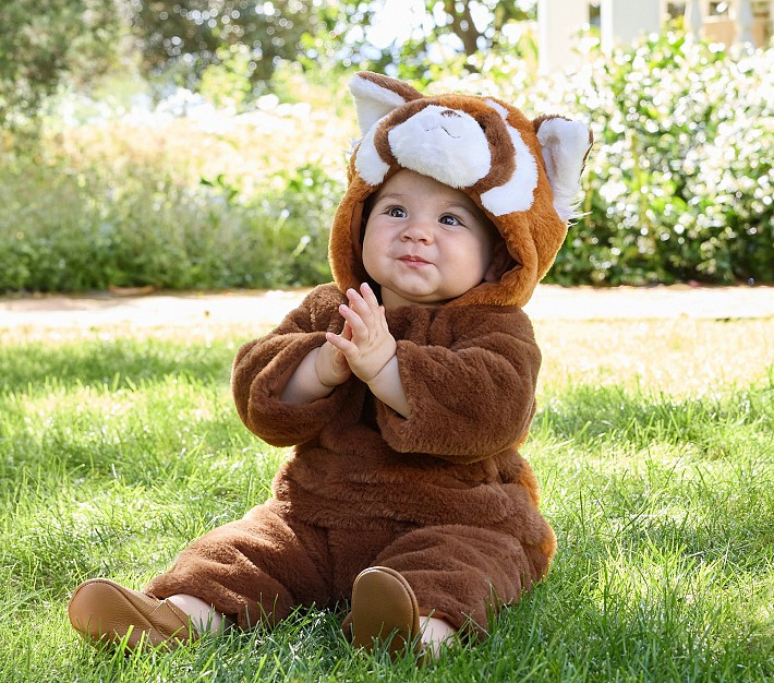 Baby Red Panda Halloween Costume | Pottery Barn Kids