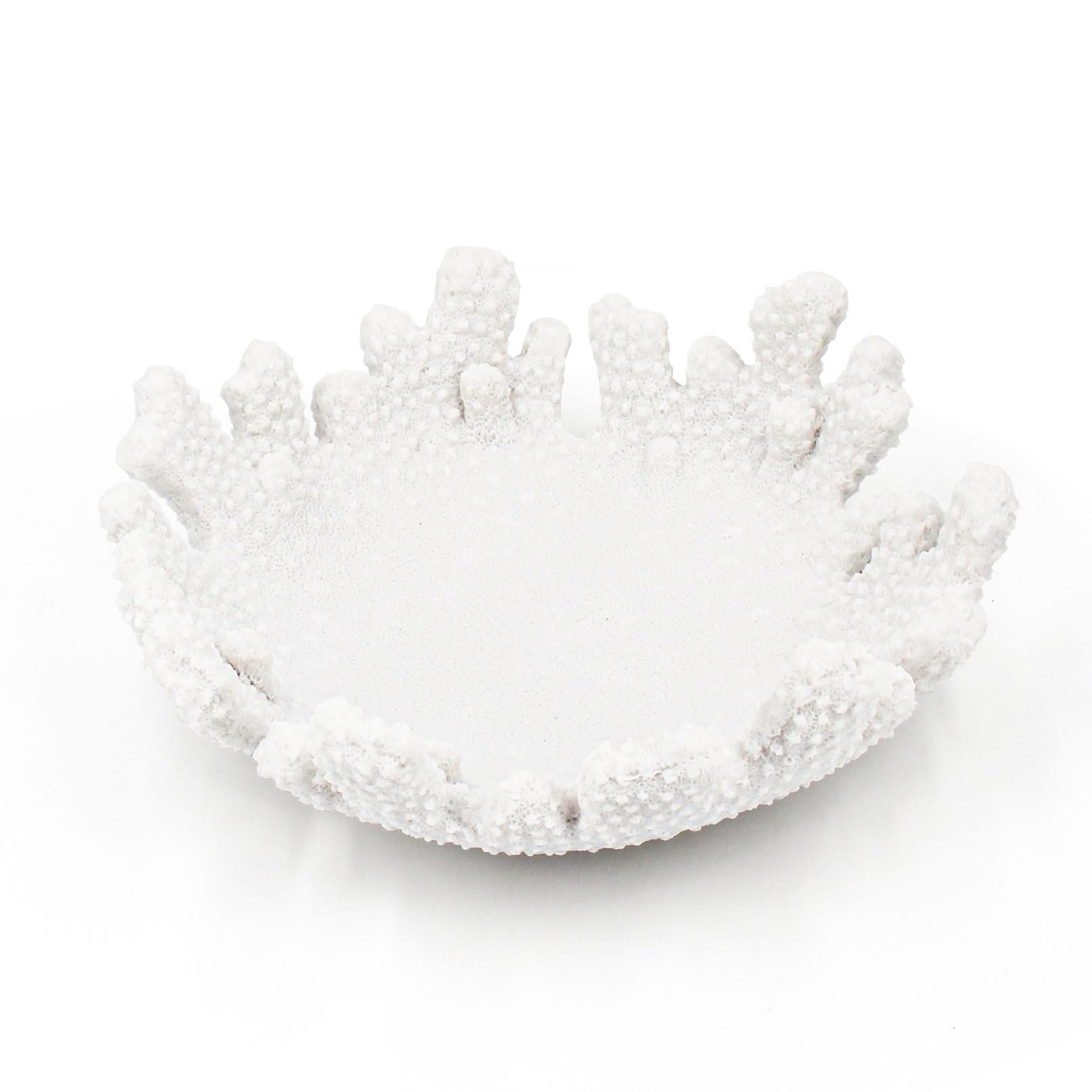 Accessoryway White Coral Textured Decorative Bowl,9.45" Medium Resin Decorative Centerpiece Bowl for Coastal Beach theme house table centerpiece decorations & Nautical decorations for coffee table | Amazon (US)
