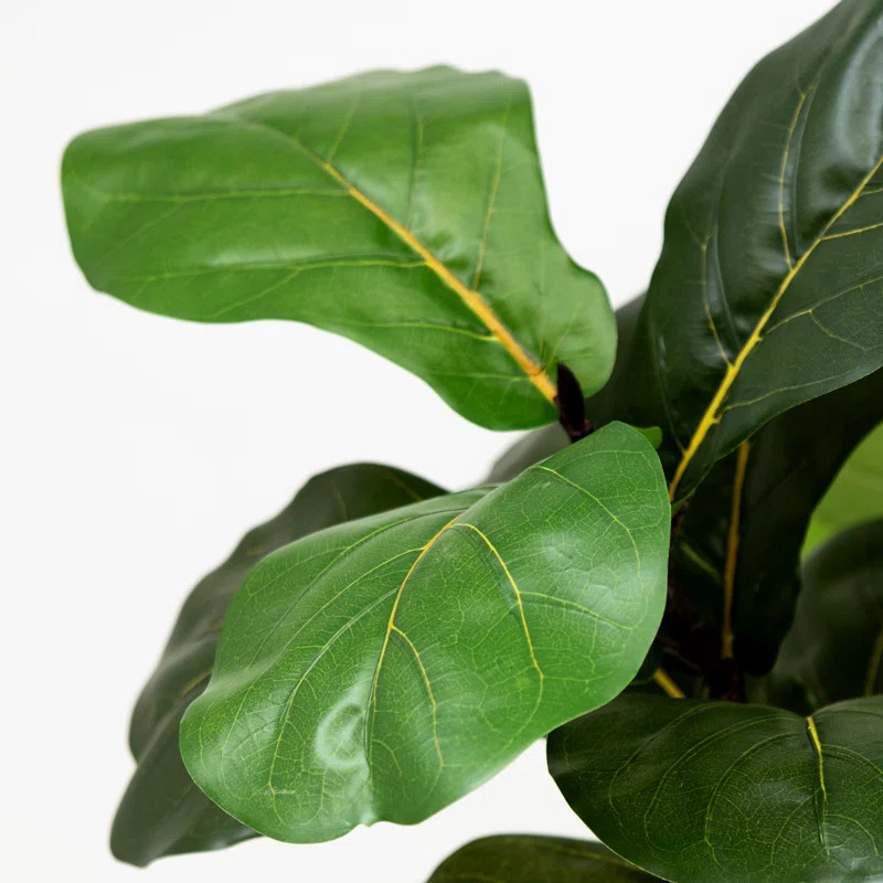 Lazio Faux Fiddle Leaf Fig Tree In Plastic Pot Artificial Plant for Living Room House Office Deco... | Wayfair North America