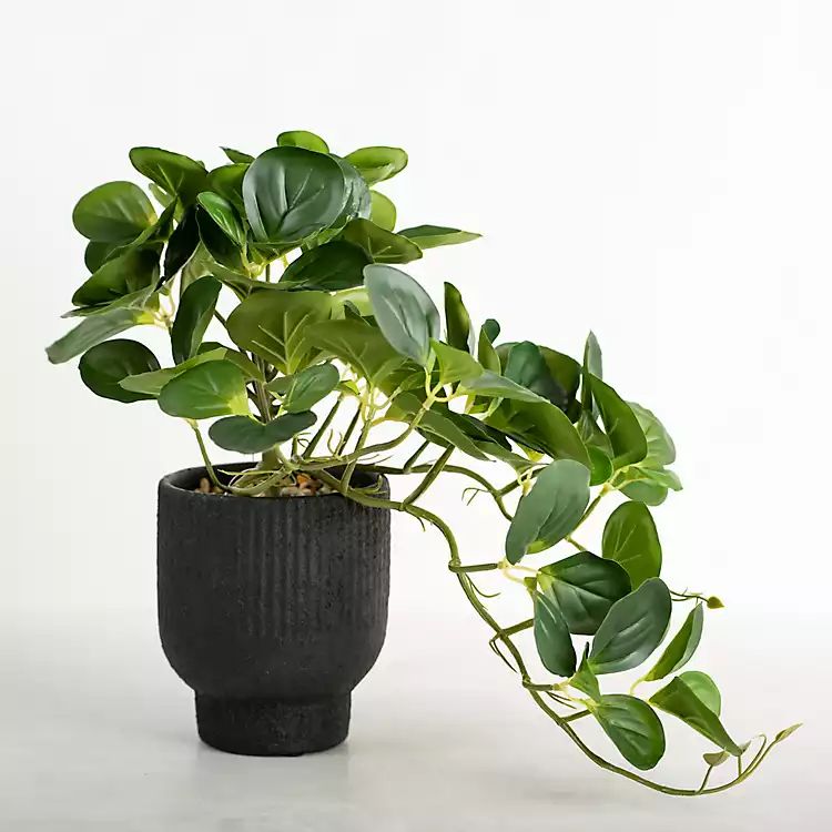 New! Cascading Fig Plant in Ribbed Planter | Kirkland's Home