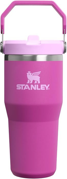 STANLEY IceFlow 2.0 Flip Straw Tumbler with Handle 14 oz | Twist On Lid and Flip Up Straw | Leakp... | Amazon (US)