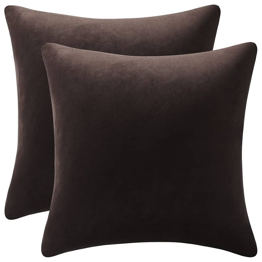 DEZENE Decorative Pillow Cases 18x18 Chocolate Brown: 2 Pack Cozy Soft Velvet Square Throw Pillow... | Amazon (US)