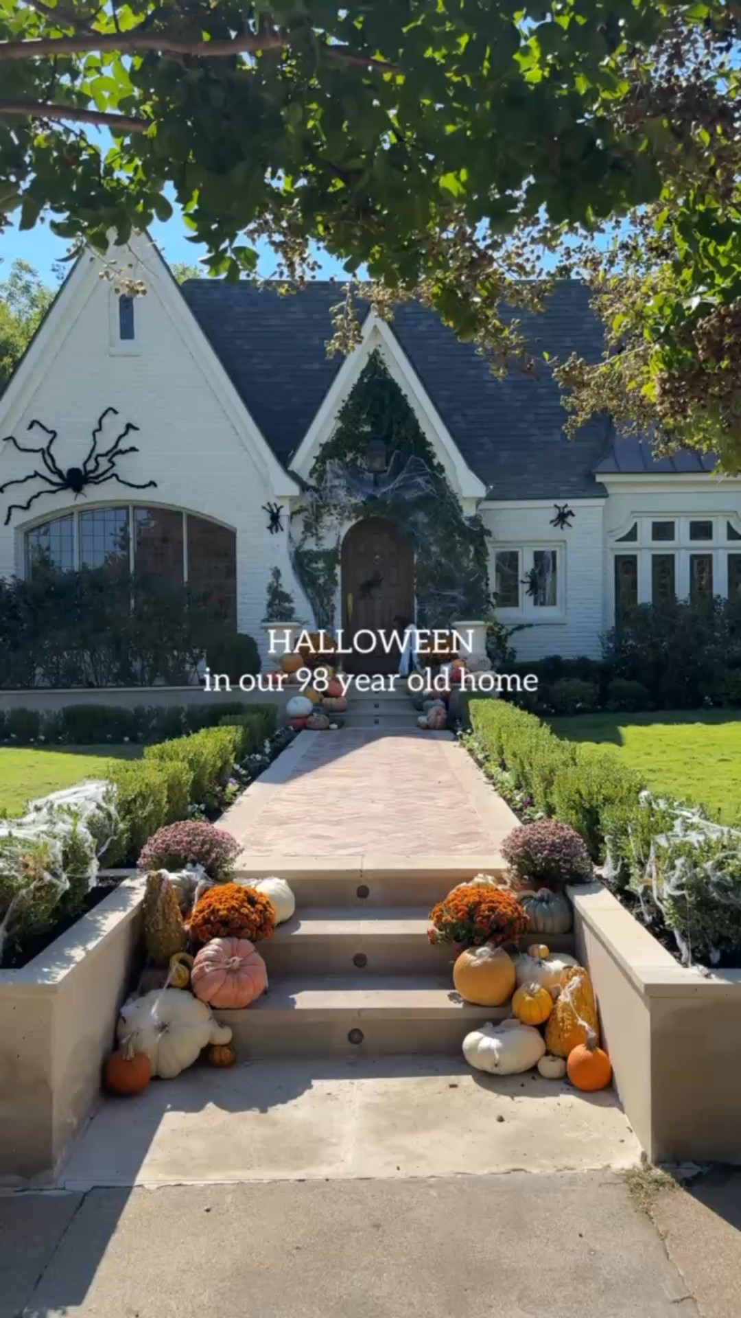 Spooky szn over here 👻🖤

Halloween, halloween decor, home decor

#LTKSeasonal #LTKHalloween