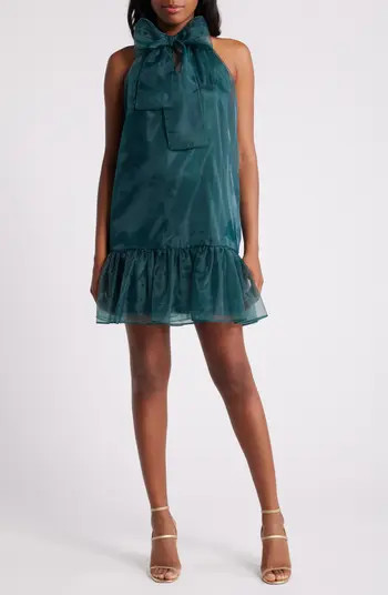 Organza Minidress | Nordstrom