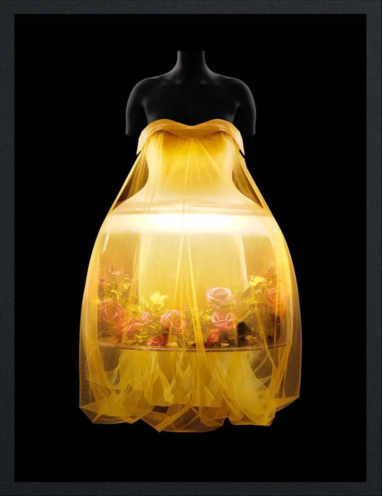 Sleeping Beauties: Reawakening Fashion | Amazon (CA)