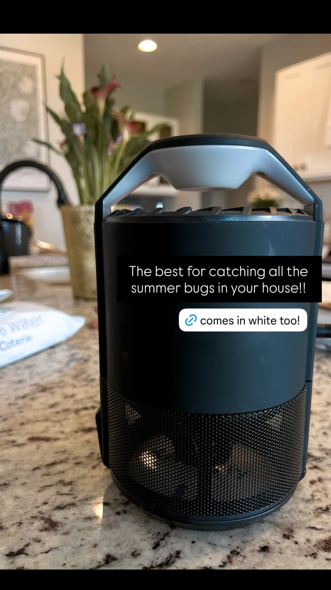 The best for catching all the summer bugs in your house!!