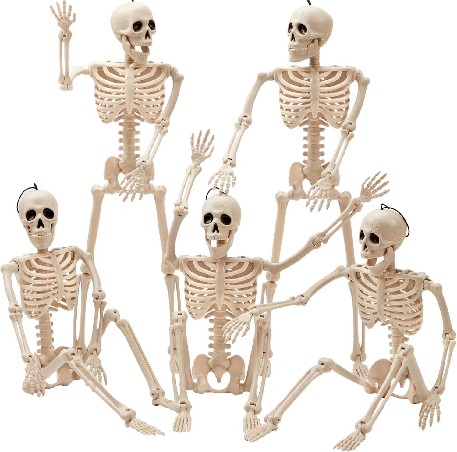 5 PCS Posable Halloween Skeletons Full Body Posable Joints Hanging Skeletons | Wayfair North America