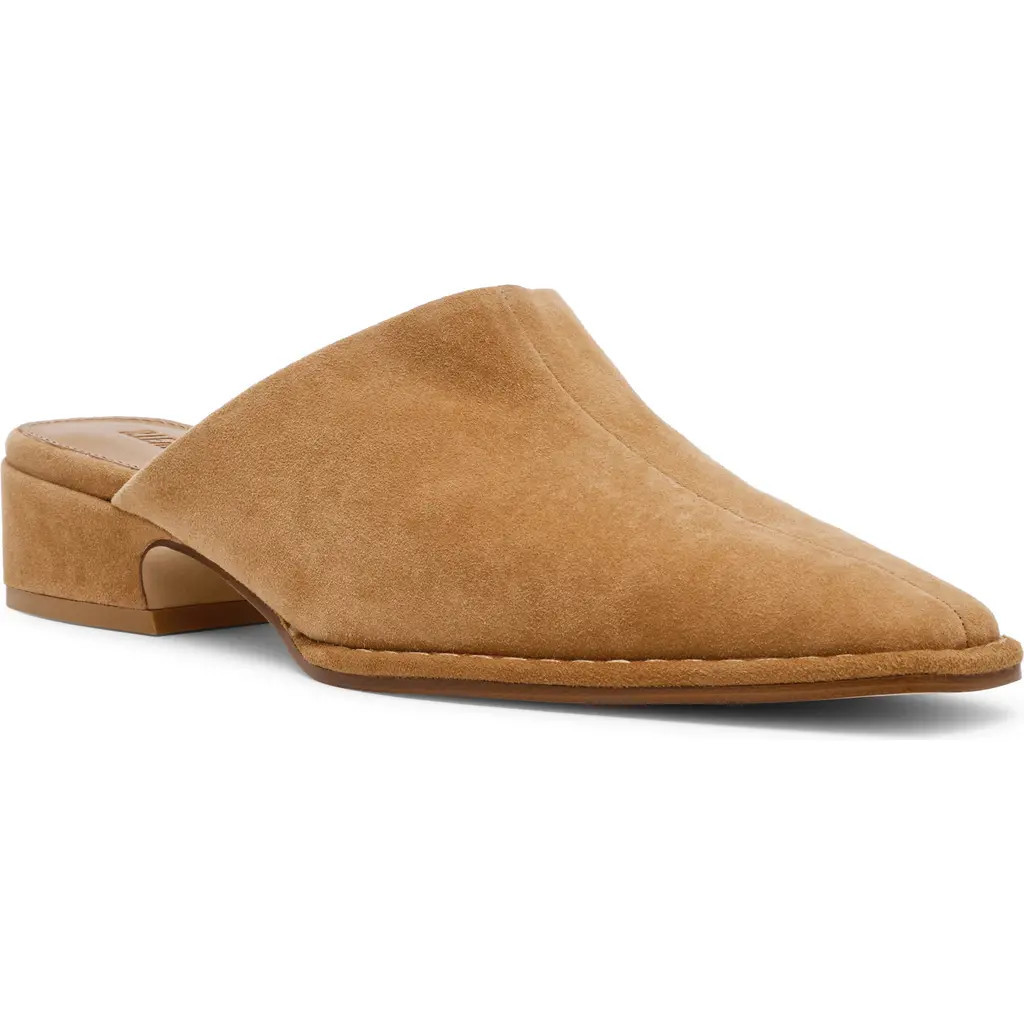 Steve Madden Dessa Mule in Tan Suede at Nordstrom, Size 7.5 | Nordstrom