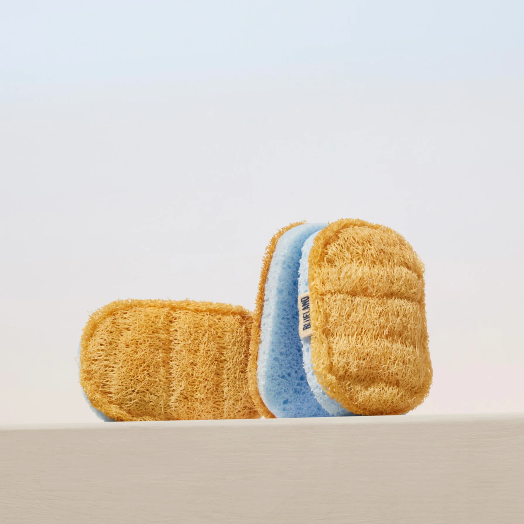 Scrub Sponge | Blueland