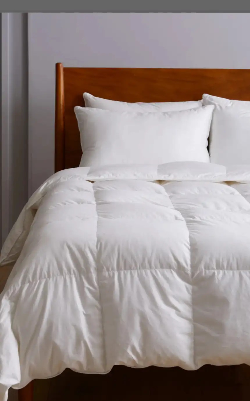 Premium Down Alternative Comforter in White | Quince