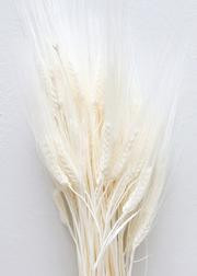 Bleached Triticum Wheat - 30" Tall | Afloral (US)