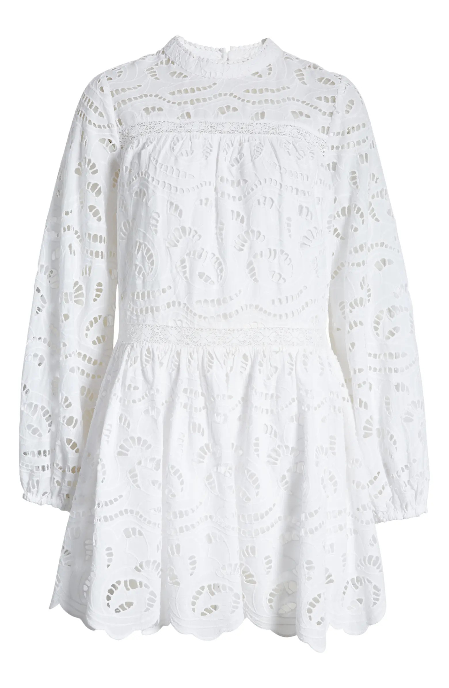 Embroidered Eyelet Long Sleeve Cotton Minidress | Nordstrom