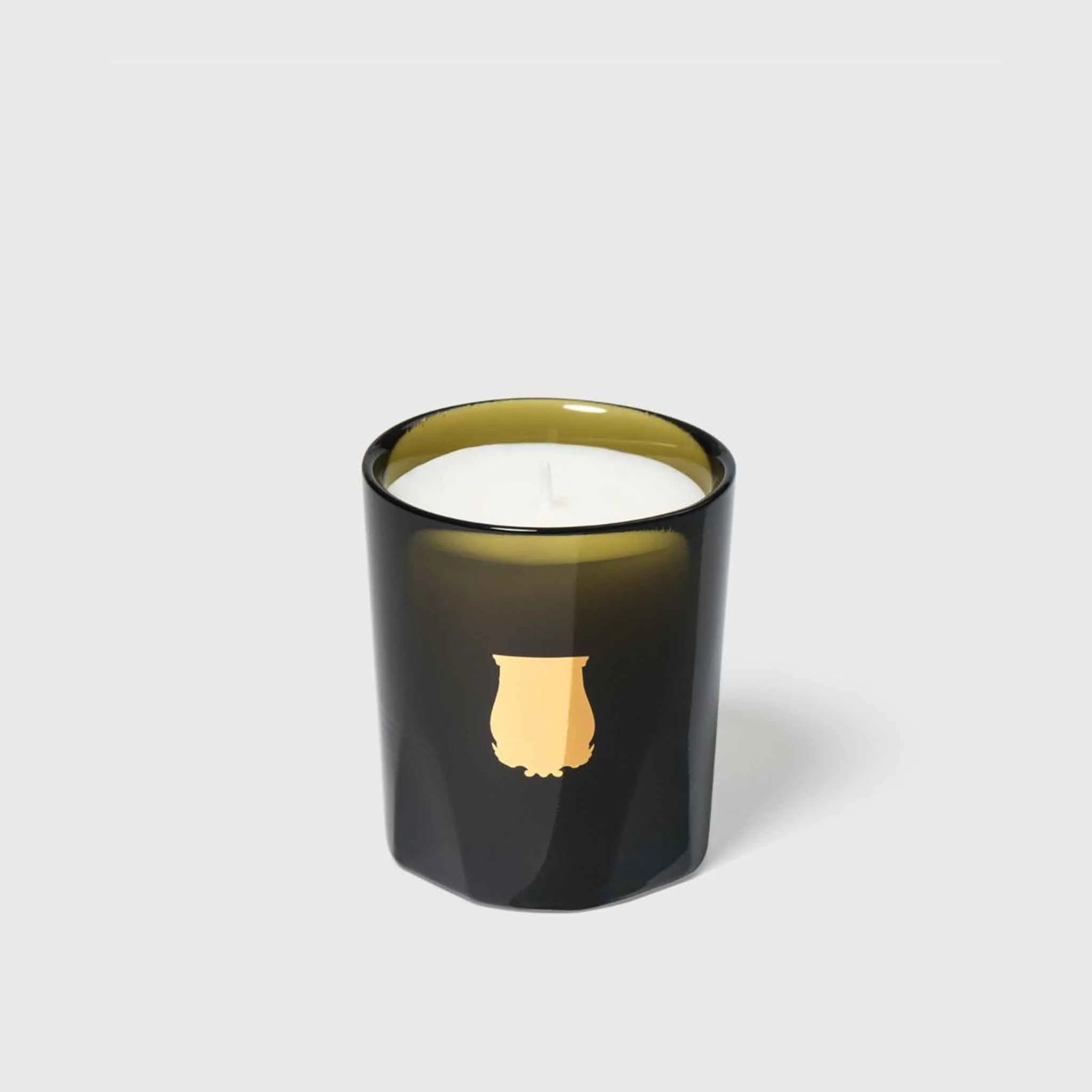 Trudon Abd El Kader "Moroccan Mint Tea" Petite Candle | The Addison West