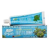 Green Beaver Toothpaste, Frosty Mint, 2.5 Ounce | Amazon (US)