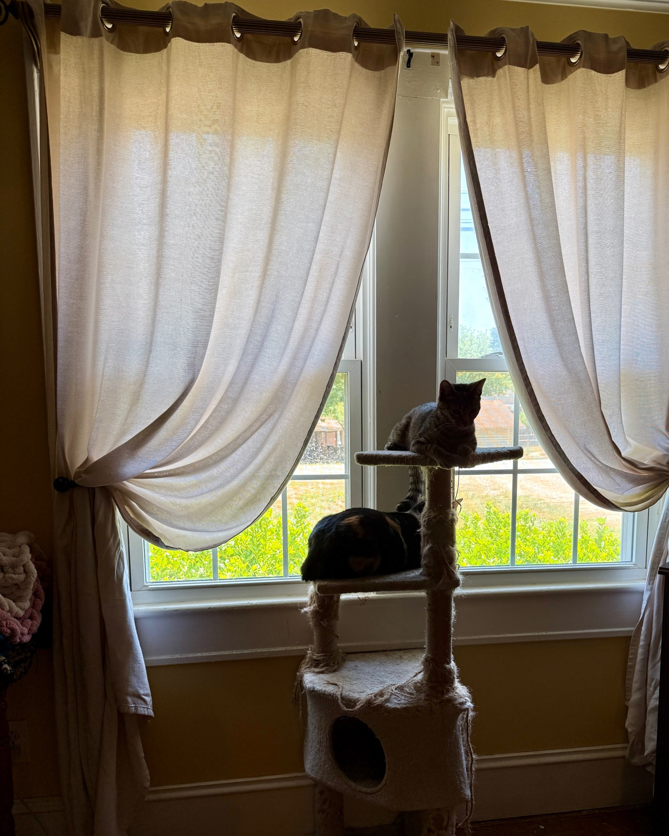 Switched to my spring/summer curtains from Ikea. I love how the light filters through them. They just make the room feel lighter. They’re Ginstmott Eyelets in beige and 98” long. 

#curtains

#LTKHome #LTKdayinmylife