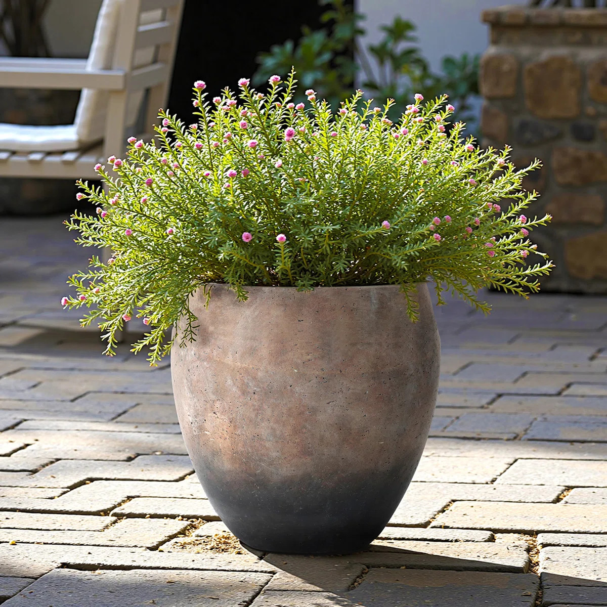 14.2'' Dia Round Plant Pot with Distressed Finish, Cement Indoor Outdoor Planter | Wayfair North America