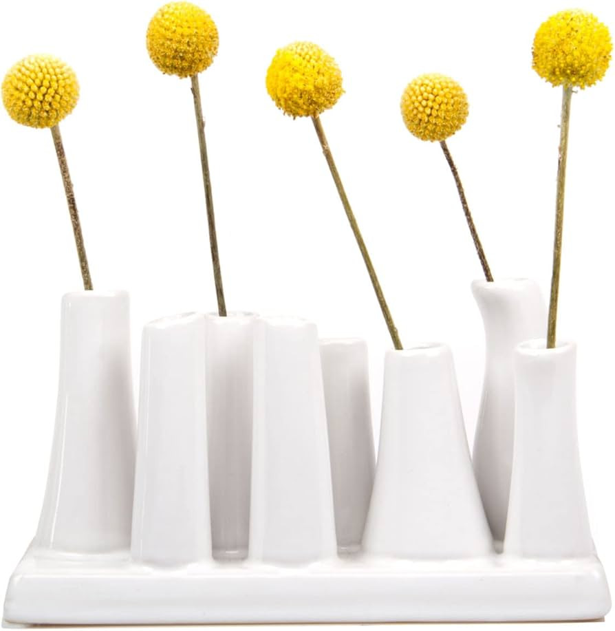 Chive - Pooley 2, Ceramic Flower Vase, 8-Tube Shape (White) | Amazon (US)