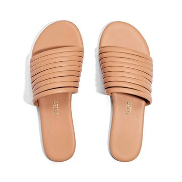 Caro | TKEES