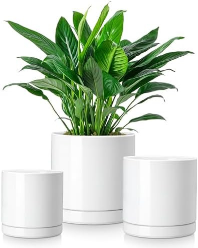 vancasso Ceramic Plant Pots, 3 Piece Planters for Indoor Plants, 4.25+5.25+6.25 Inch Flower Pots ... | Amazon (US)