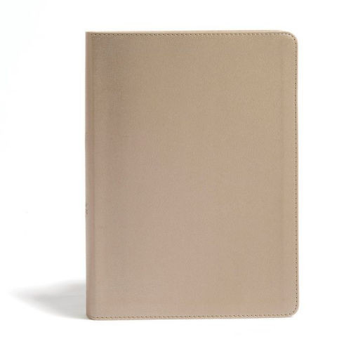CSB She Reads Truth Bible, Champagne Gold LeatherTouch, Indexed | Barnes & Noble