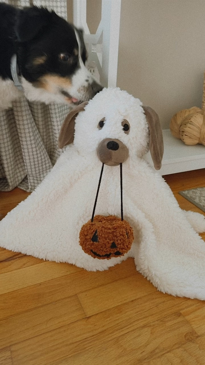 Pottery Barn Doug the ghost dog pillow Halloween decoration!


#LTKSeasonal #LTKFindsUnder100 #LTKHome
