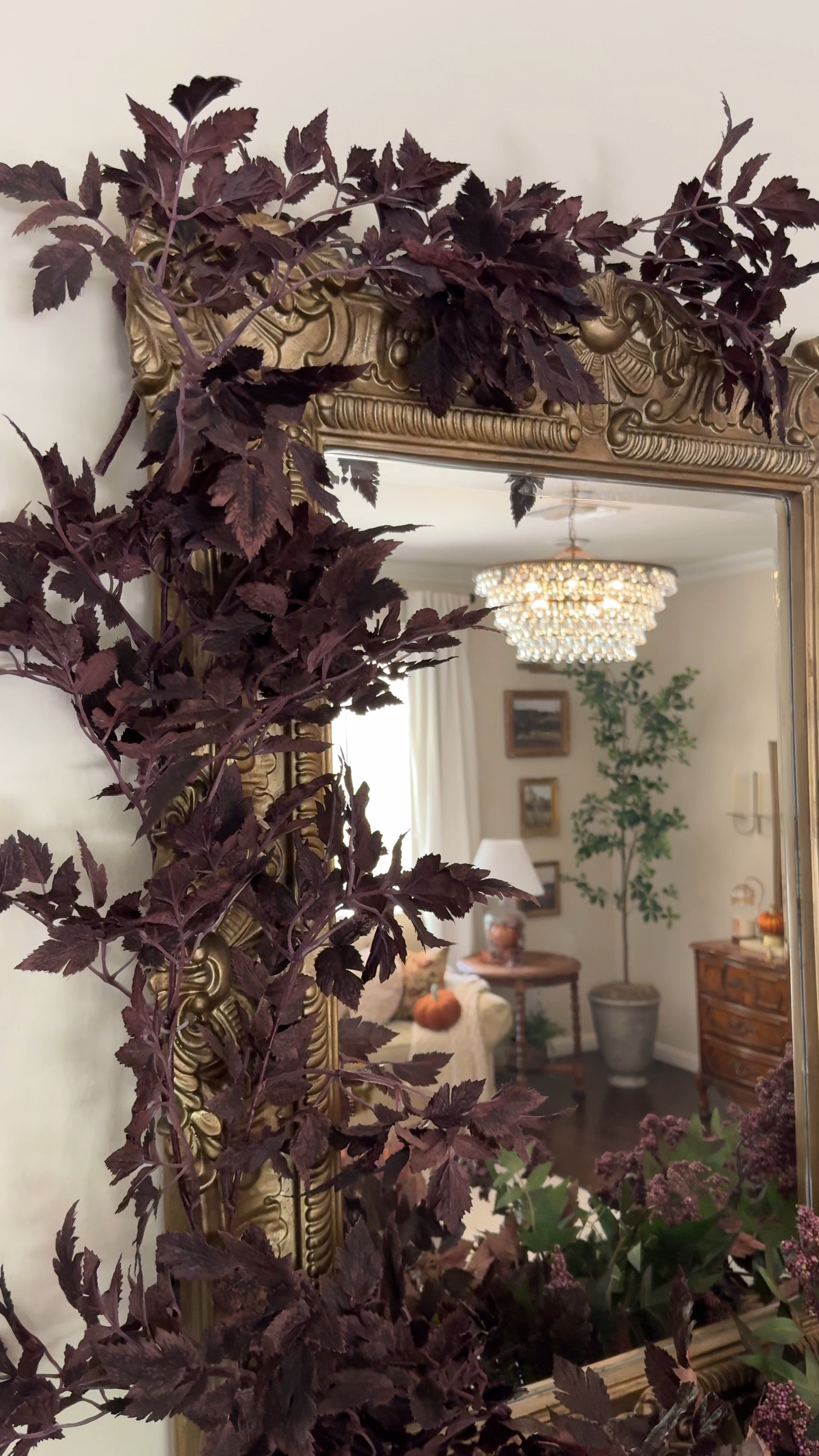 Very budget friendly faux Plum stems (aka Cimicifuga stems) And very realistic looking too. Best price I’ve seen so far! 



#LTKVideo #LTKHome #LTKFallSale