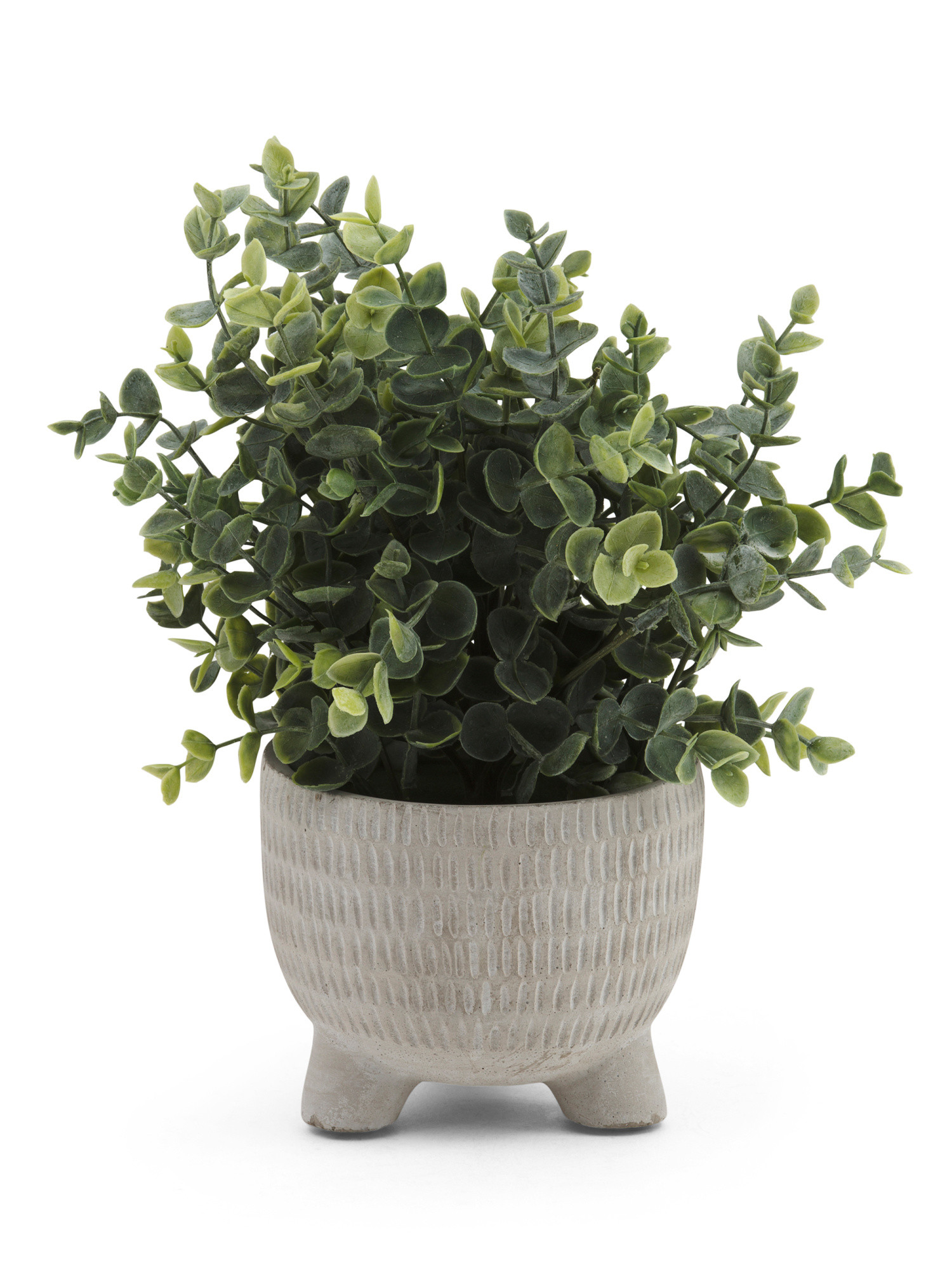 Eucalyptus Leaf In Big Belly Shape Pot | Home | Marshalls | Marshalls