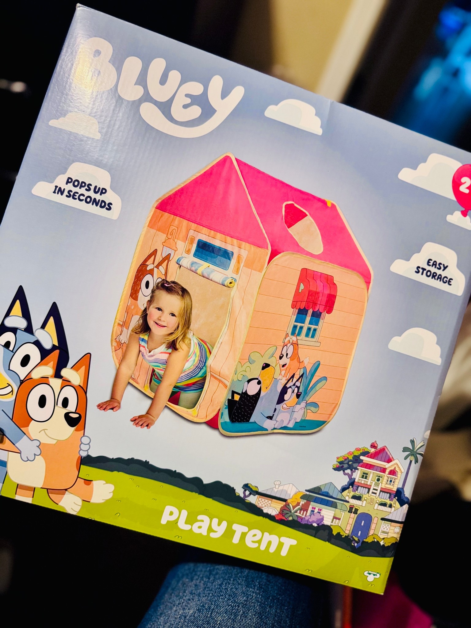 Bluey play tent 

#LTKGiftGuide #LTKKids