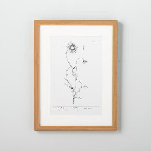 12" x 16" Ox Daisy Floral Wall Art - Hearth & Hand™ with Magnolia | Target