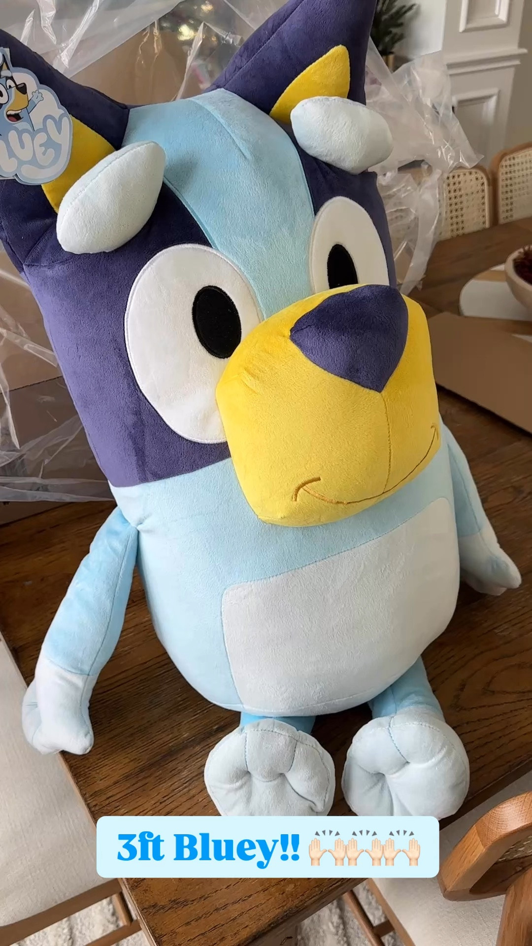 3ft Bluey!! 🙌🏻🙌🏻🙌🏻

Sarah Joy, kids gift idea 

#LTKKids #LTKGiftGuide #LTKWatchNow