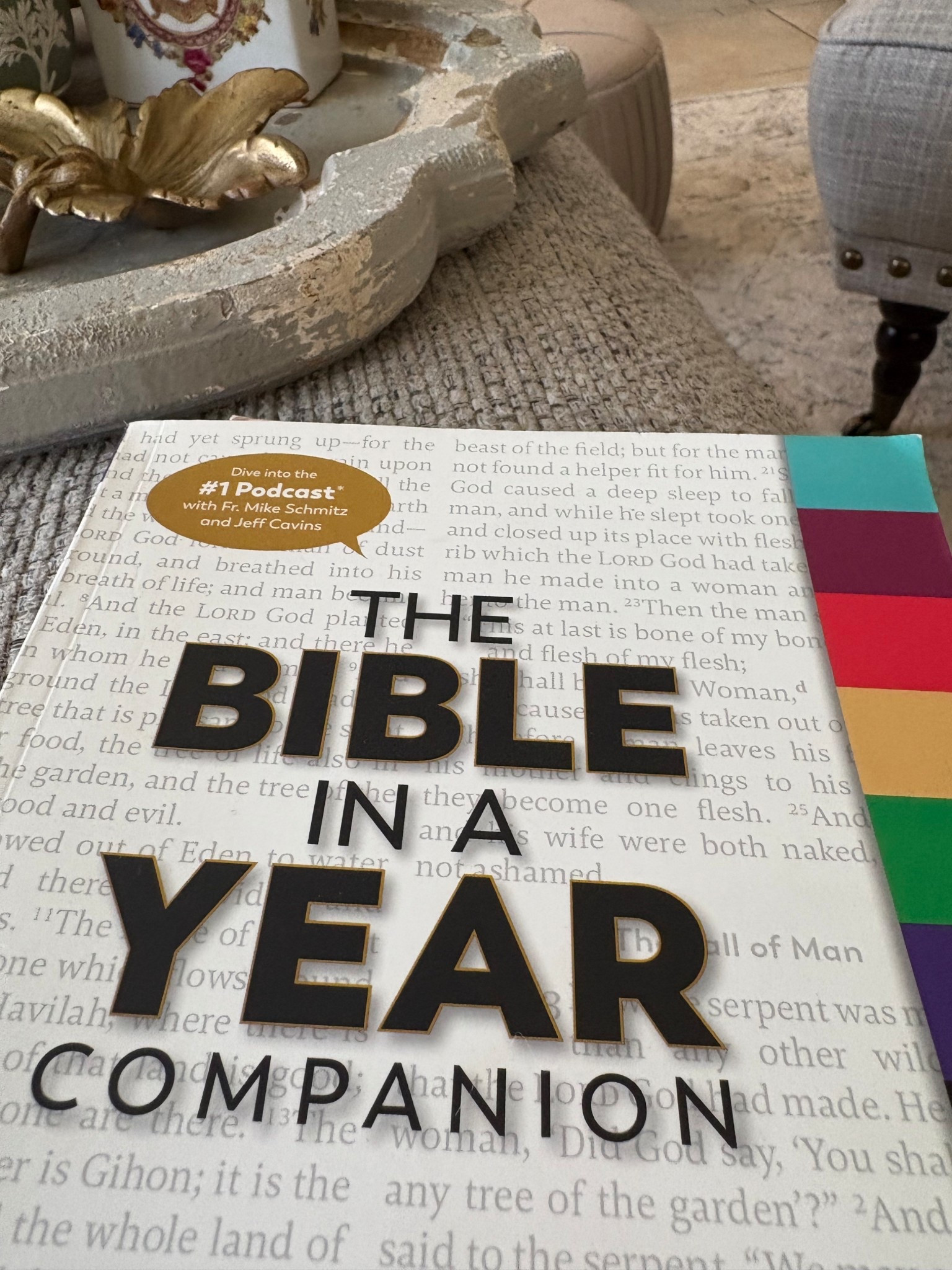 The Bible in a Year Companion book series 
Use this companion along side the The Podcast with Fr. Mike Schmitz
And Jeff Cavins 

#LTKFindsUnder100 #LTKFindsUnder50 #LTKOver40