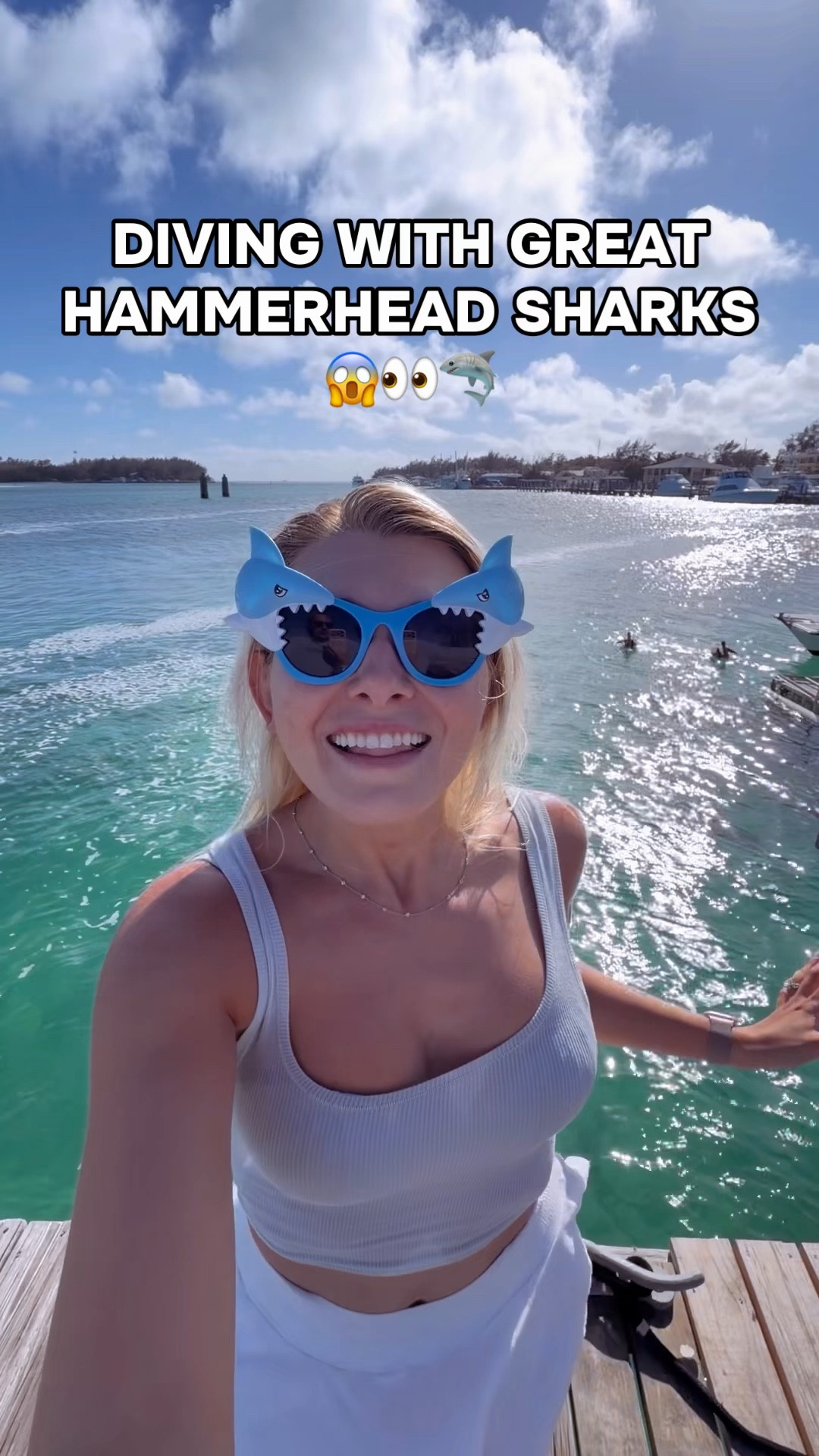 One of the BEST DIVES OF MY LIFE!🤿🦈 I would do this a million more times. Would you jump into the water with Great Hammerhead Sharks?👀🦈

#sharks #scubadive #diving #bimini #ocean 