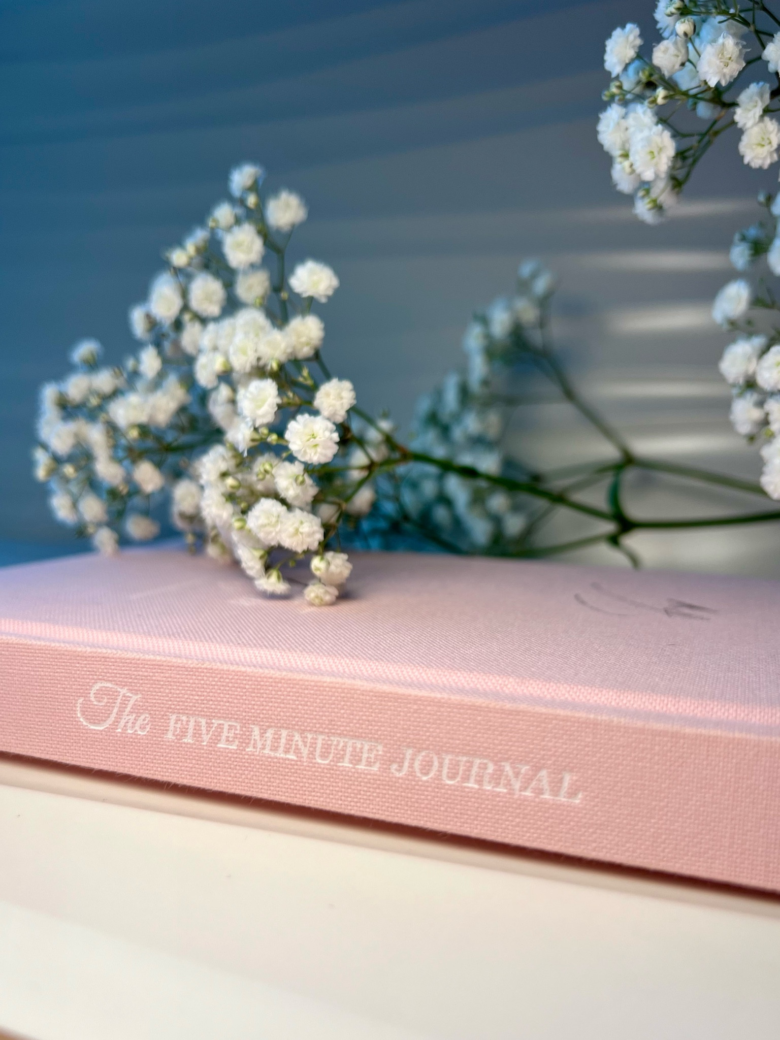 Starting each day journaling has been such a nice, new habit! It especially feels great on a Monday morning after a busy weekend. 🌸🎀🩷

#LTKFindsUnder50 #LTKGiftGuide #LTKFamily