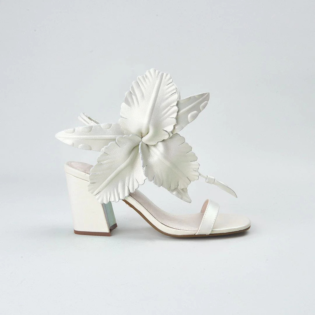 HIBISCUS | Cecelia New York