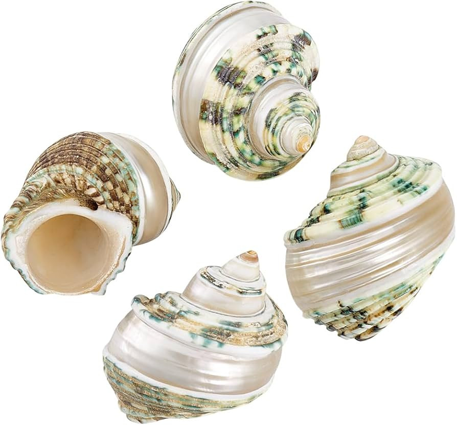 PH PandaHall 4pcs Hermit Crab Shells, 2.1~2.3 inch Natural Large Sea Shells Turbo Seashells Openi... | Amazon (US)