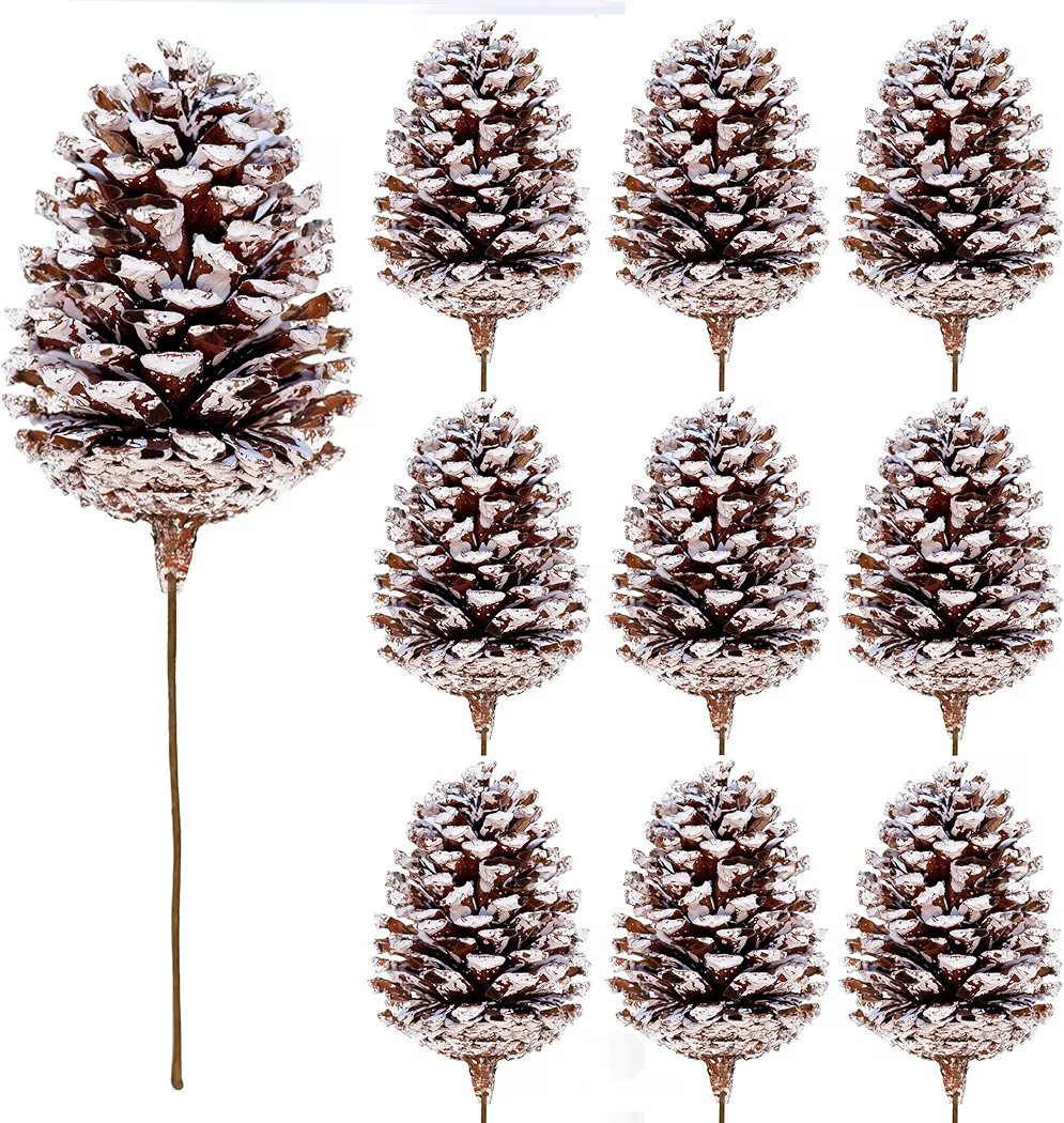 10 Pieces Large Christmas Pine Cones Decorations Picks - Frosted Snow Pine Cones for Christmas Tr... | Amazon (US)