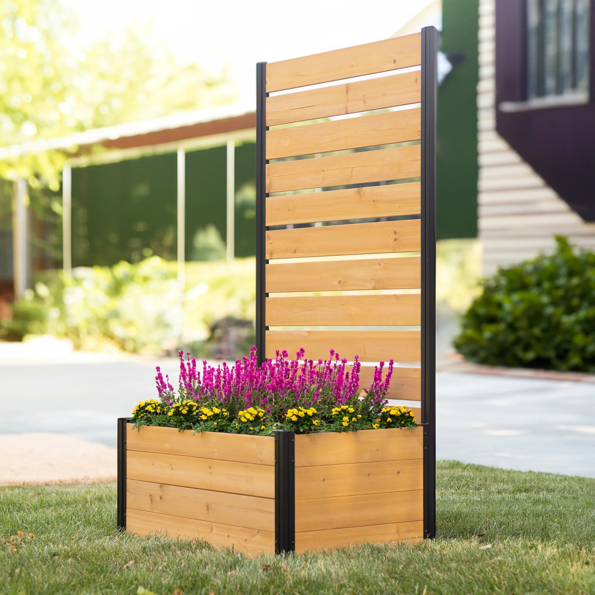 6ft H x 3.3ft W x 2.1ft L (1 Screen w/Planter) Freestanding Enclo Concord Cedar Wood Privacy Fenc... | Wayfair North America