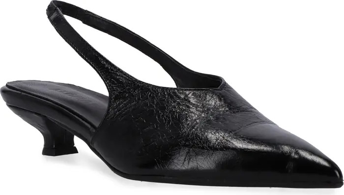 Eros Slingback Pointed Toe Kitten Heel Pump (Women) | Nordstrom