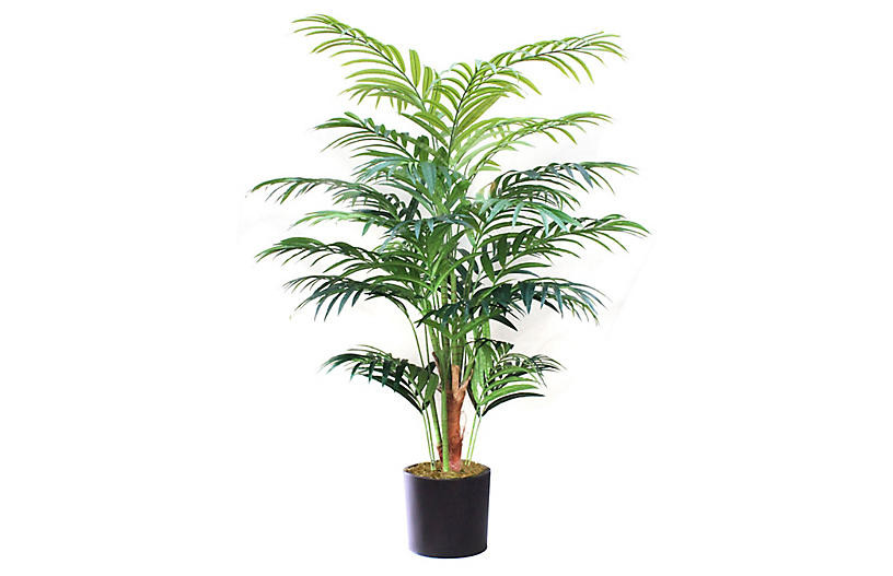 96" Kentia Palm Tree w/ Black Vessel, Faux | One Kings Lane