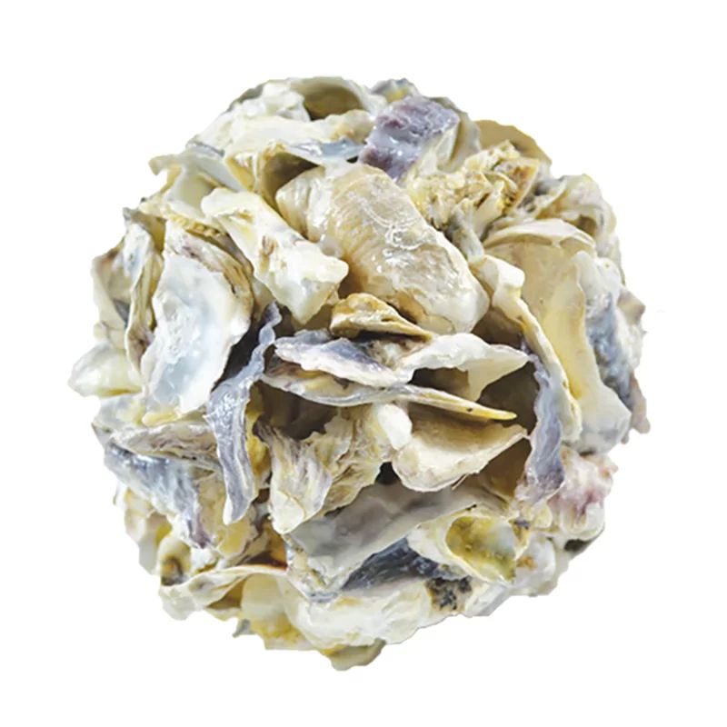 Tomasini Oyster Shell Ball Sculpture | Wayfair North America