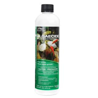 16 oz. Algaecide for Ponds and Fountains | The Home Depot