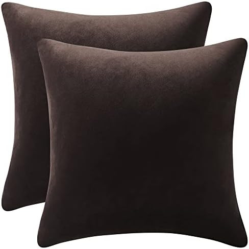 Throw Pillow Covers 18x18 Chocolate Brown: Pack of 2 Cozy Soft Velvet Square Modern Luxury Decora... | Amazon (US)
