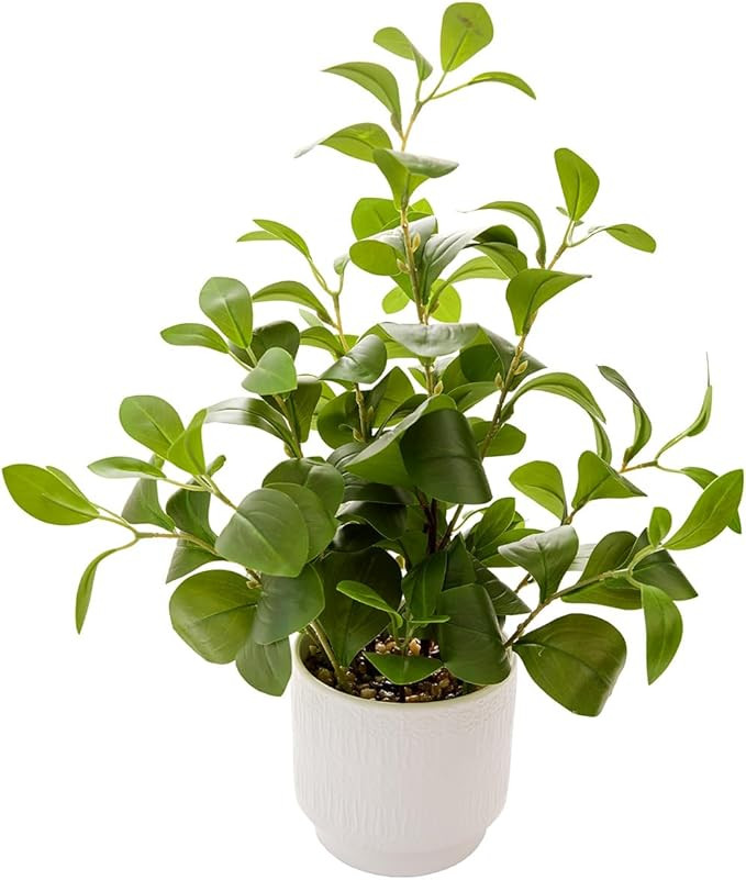 19'' Artificial Ficus Plant in White Textured Ceramic Pot Realistic Faux Greenery with Lifelike L... | Amazon (US)